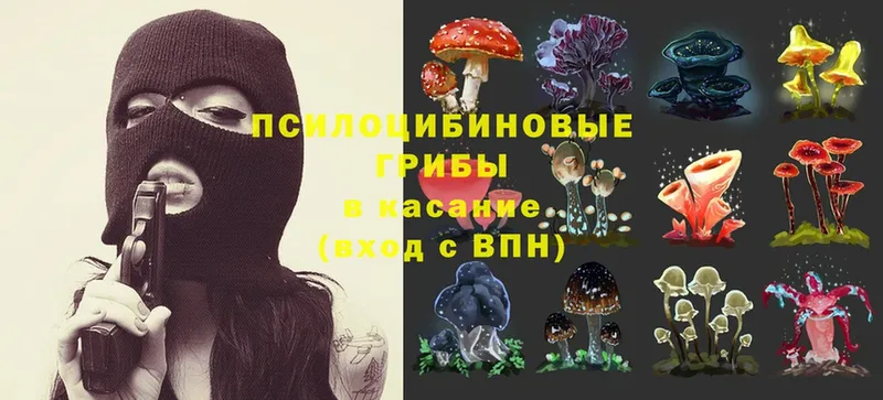 MEGA онион  сайты даркнета какой сайт  Западная Двина  Галлюциногенные грибы MAGIC MUSHROOMS  купить  цена 